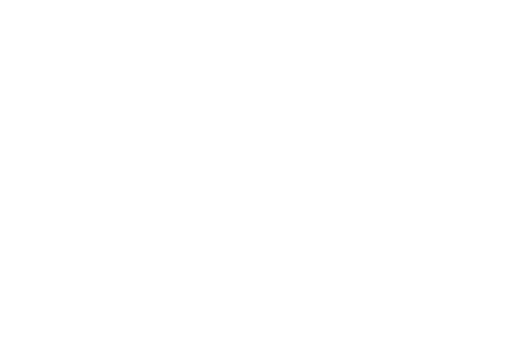 BEANPOLE (빈폴)