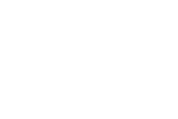 VOICE OF VOICES