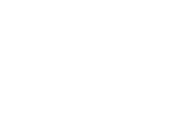 SWAROVSKI (스와로브스키)