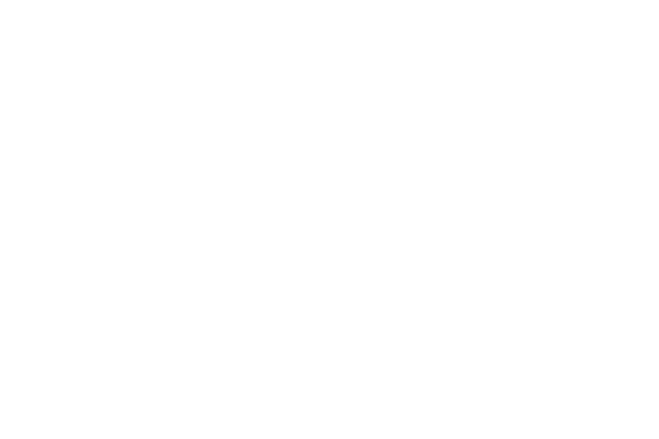 GGIO2 (지오투)
